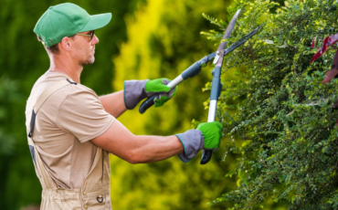 professional-gardening-landscaping-guide-03