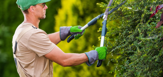 professional-gardening-landscaping-guide-03 professional-gardening-landscaping-guide-03