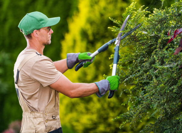 professional-gardening-landscaping-guide-03