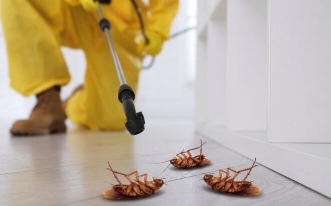 pest-control-image-04