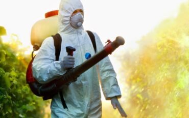 pest-control-solutions-22