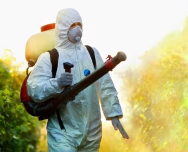 pest-control-solutions-22