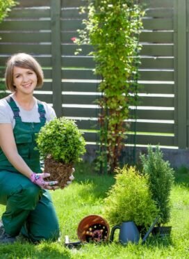 gardening-andscaping-21