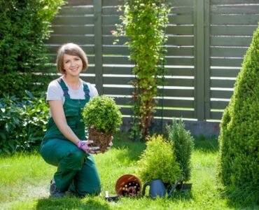 gardening-andscaping-21