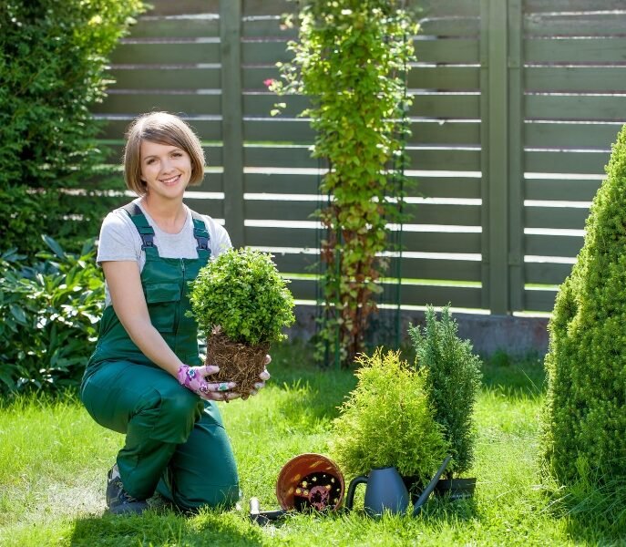 gardening-andscaping-21