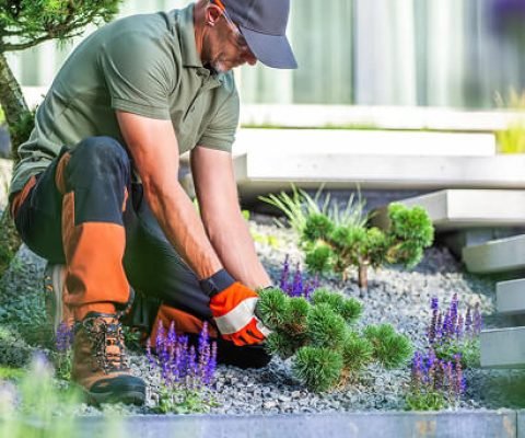 MAZAYA Gardening and Landscaping 11