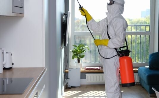 pest-control-image-02 pest-control-image-02
