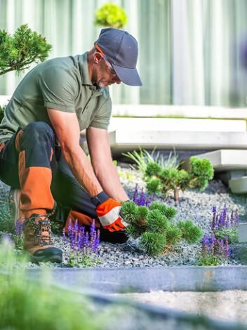 MAZAYA Gardening and Landscaping 11