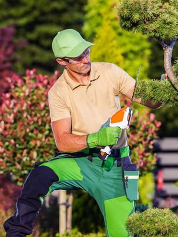 MAZAYA Gardening and Landscaping 12