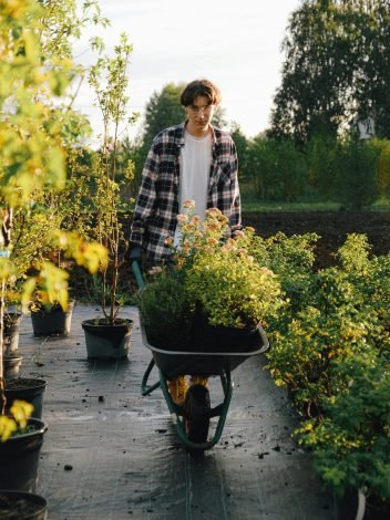 MAZAYA Gardening and Landscaping 16