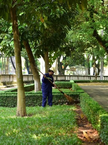 MAZAYA Gardening and Landscaping 22