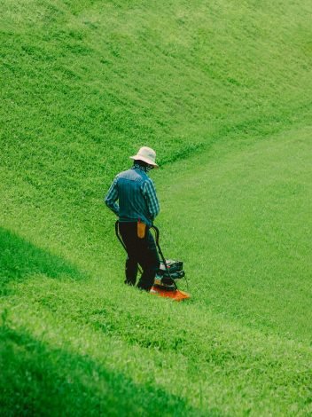 MAZAYA Gardening and Landscaping 24
